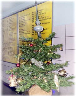 6-Weihn.baum-Kueche 6-Weihn.baum-Kueche